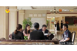 文昌融资清欠服务